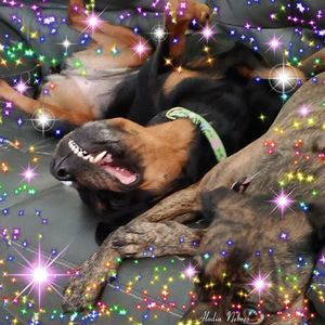 Meet your Posher, Michele